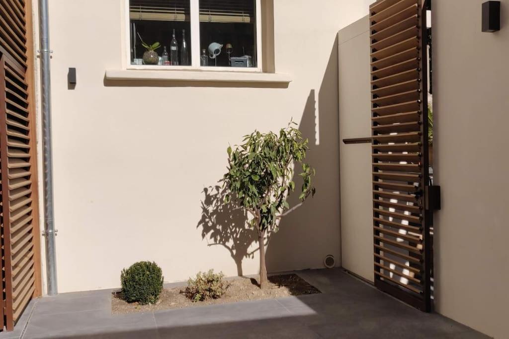 La Maison De Colette - Coeur De Village Cuxac-dʼAude 외부 사진